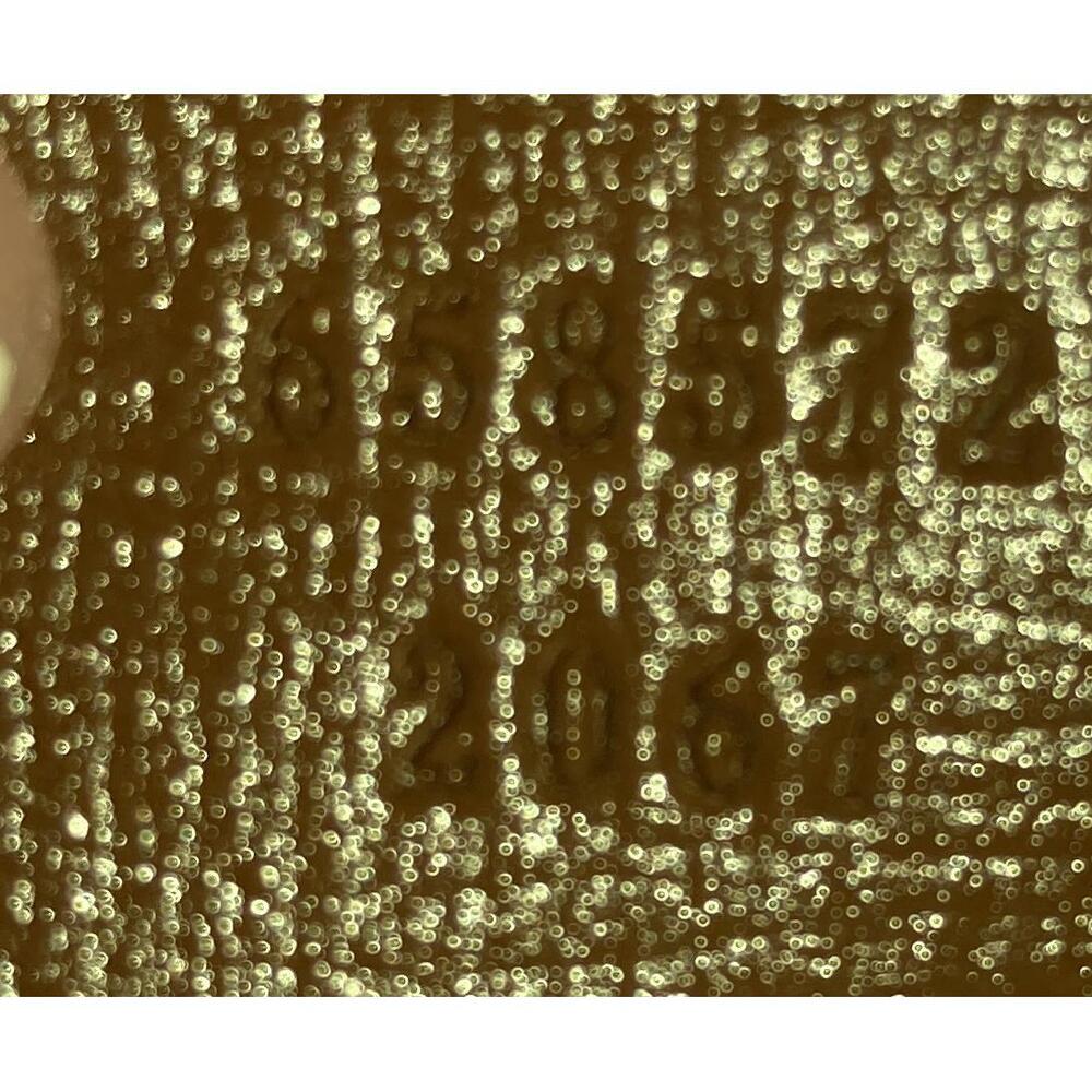 Gucci Interlocking G Patch Camera Bag #223520g12b - image 6